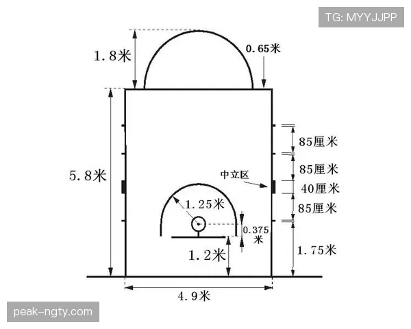 深入解析篮球罚球规则的具体执行标准与流程